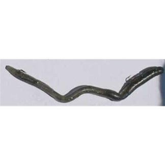 bgill 6reg sq1000