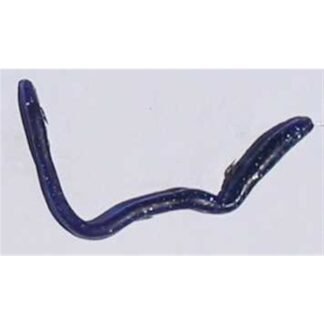 bpflk 6reg sq1000