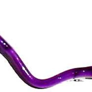 blue purple/white belly