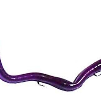 blue purple 6"