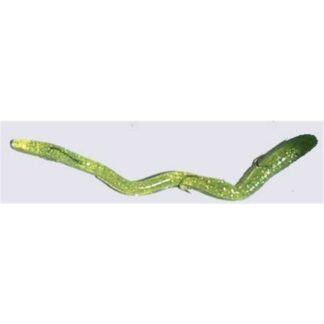 cflk 6reg sq1000