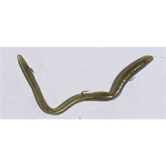 wtrmln 6reg sq1000