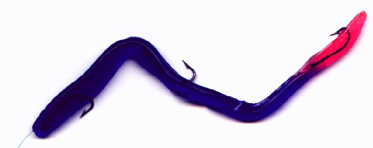 lam blu prpl fire tail nov04